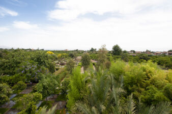Vista del parco di Radicepura (©Archivio AutonomeForme)