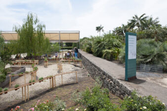 Sensory Landscape (©Archivio AutonomeForme)