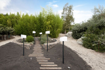 Plantocene (©Archivio AutonomeForme)