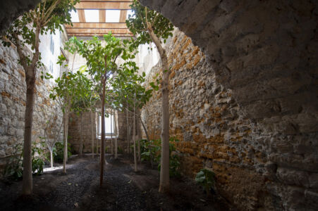 Human Forest (©Archivio AutonomeForme)