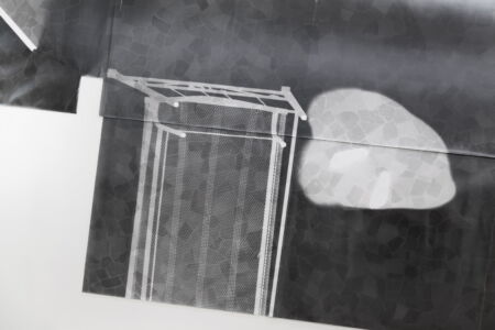 © Francesca Piovesan