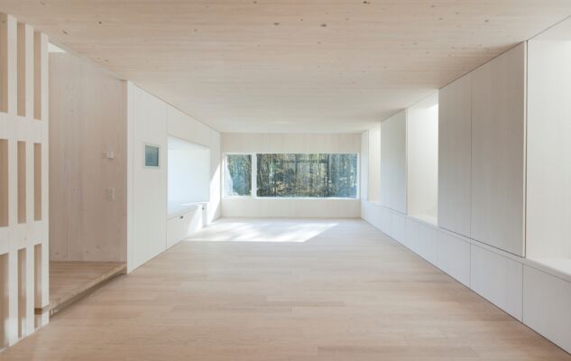 Sunlighthouse, Pressbaum (Austria, 2010) / Juri Troy © Adam Mork