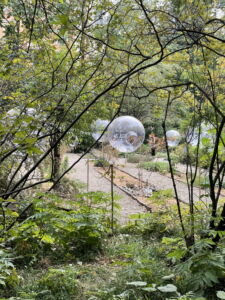 Brera, orto (© Arianna Panarella)