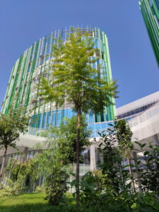 MCArchitects, nuovo rettorato Università Roma Tre (© Moreno Maggi)