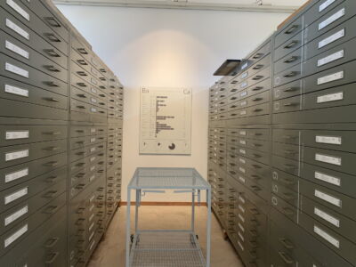 © Emanuele Piccardo