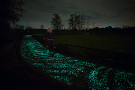 Van Gogh Roosegarde Bycicle Path (© Studio Roosegarde)