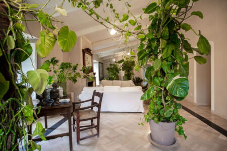 La sala del Desiderio (© Farm Cultural Park)