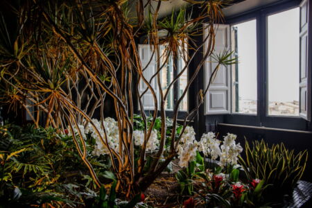 La vista di Mazzarino da una finestra di Palazzo Bartoli (© Farm Cultural Park)