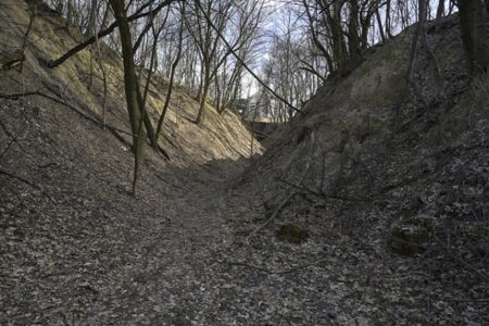 Babij Jar, un'immagine del sito oggi (courtesy Manuel Herz Architects)