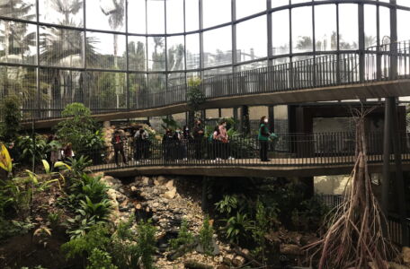 La foresta tropicale secca all'interno di un modulo (© Luca Bullaro)