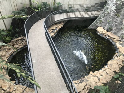Uno degli specchi d'acqua interni (© Luca Bullaro)