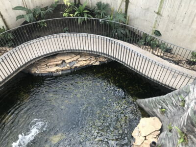 La rampa sull'acqua (© Luca Bullaro)
