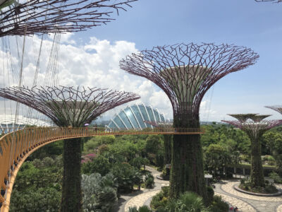 Gardens by the Bay, Grant Associates, Gustafson Porter e Wilkinson Eyre Architects, 2012