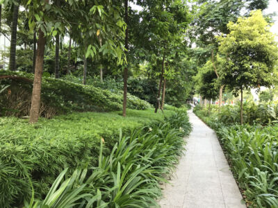 La vegetazione lungo un marciapiede di Downtown