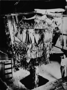 Maquette della cripta della chiesa della Colonia Guell (© Cátedra Gaudí, ETSAB, UPC / Ramón Maroto)