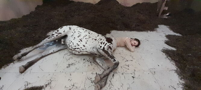 Padiglione della Danimarca