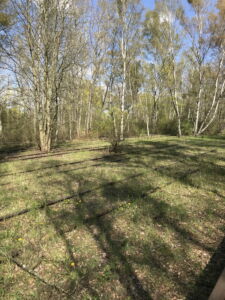 Vista vecchi binari affiancati (foto Francesca Petretto)