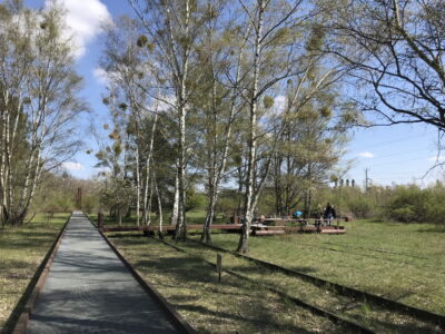 Un percorso e vista punto di picnic (foto Francesca Petretto)