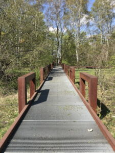 Uno dei percorsi pedonali obbligati lungo le aree protette (foto Francesca Petretto)