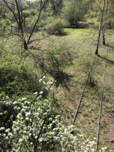 Vista vecchi binari dal primo belvedere (foto Francesca Petretto)