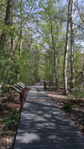 Percorsi obbligati tra aree protette (foto Francesca Petretto)