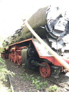 Una vecchia locomotiva immersa nel parco (foto Francesca Petretto)