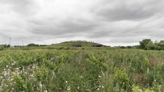 © Luis Ferreira Alves