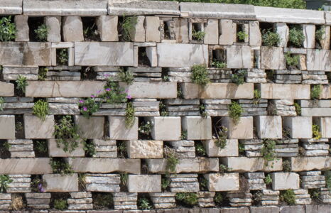 © Laura Villa Baroncelli