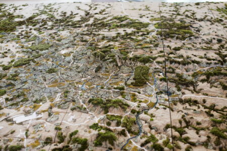 © Laura Villa Baroncelli