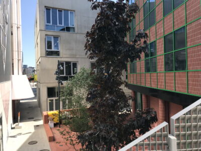 © Caterina Pagliara