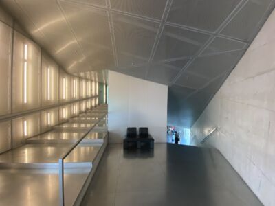 Casa da Música (© Adele Muscolino)