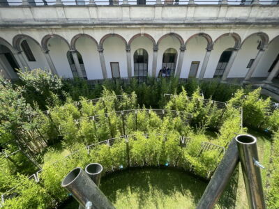 Labyrinth Garden (foto di Arianna Panarella)