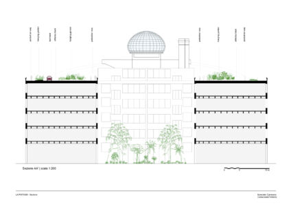 Sezione (© Camerana&Partners)