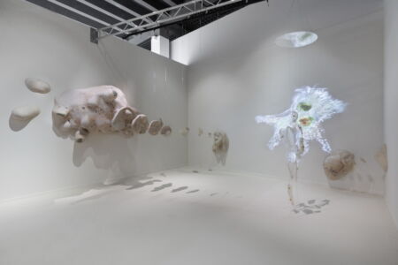 Unknown Unknowns, Austria