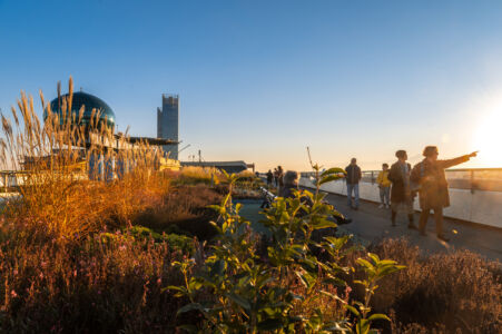 (© Federico Masino - courtesy Benedetto Camerana)