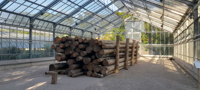 Greenhouse, Karlsaue (© Alessandro Colombo)