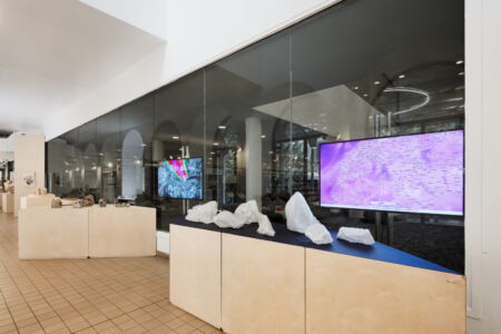 Olafur Eliasson, Ice Lab, 2020. Courtesy Studio Olafur Eliasson (© Olympia Shannon)