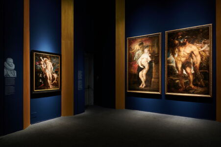 Sezione V: dedicata alle prestigiose committenze genovesi di Rubens