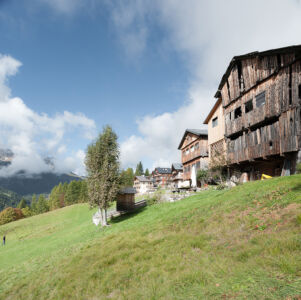 PAO segnalato: progetto Elisa di CLINICAURBANA