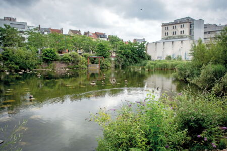 Il Marais Wiels dell’Ex-Wielemans-Ceuppens. @Bénédicte-Maindiaux (https://www.wiels.org/en/events/journee-de-leau)