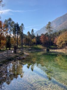 Amp Architecture & Landscape, riqualificazione ambientale del parco del lago Fontana in Val di Non (Trento)