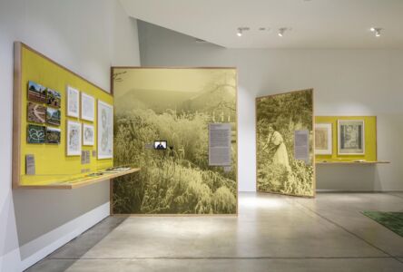 © Vitra Design Museum, foto Ludger Paffrath