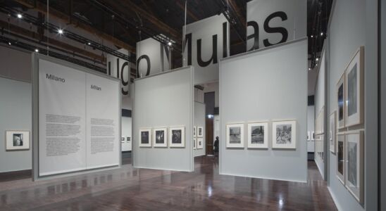 © Alessandra Chemollo