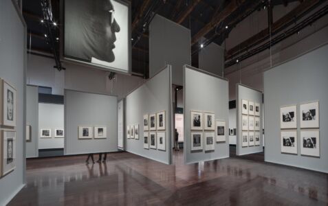 © Alessandra Chemollo