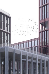 Il secondo classificato, Corvino + Multari