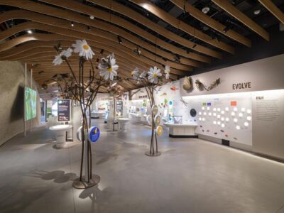 Il Susan and Peter J. Solomon Family Insectarium (© Iwan Baan)