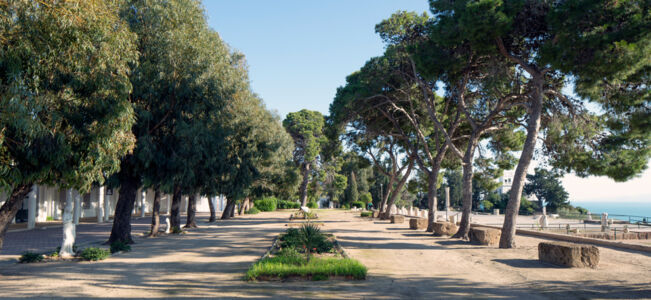 Il giardino nel parco archeologico di Carthage (© Yoann CIMIER _ ADAGP Paris dal Dossier di concorso)