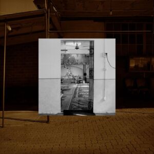 Hindu Temple, Polesine Parmense (ex capannone agricolo), 2019