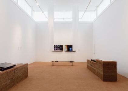 Padiglione Brasile
(© Matteo de Mayda, Courtesy La Biennale di Venezia)