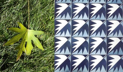 (foto Germana Buono)